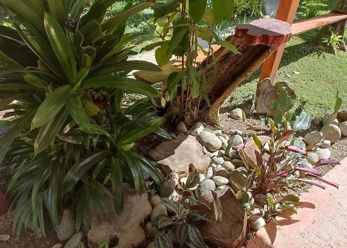 Finca Valeria Treehouses Glamping