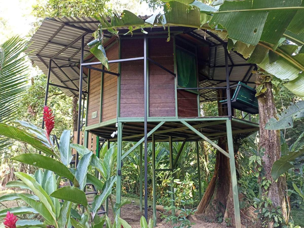 Guest house Valeria Treehouses Glamping Cocles