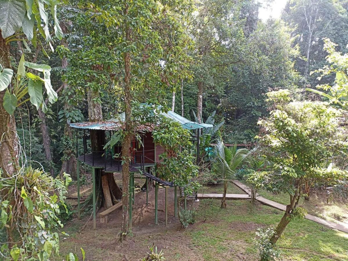 Valeria Treehouses Glamping * Cocles