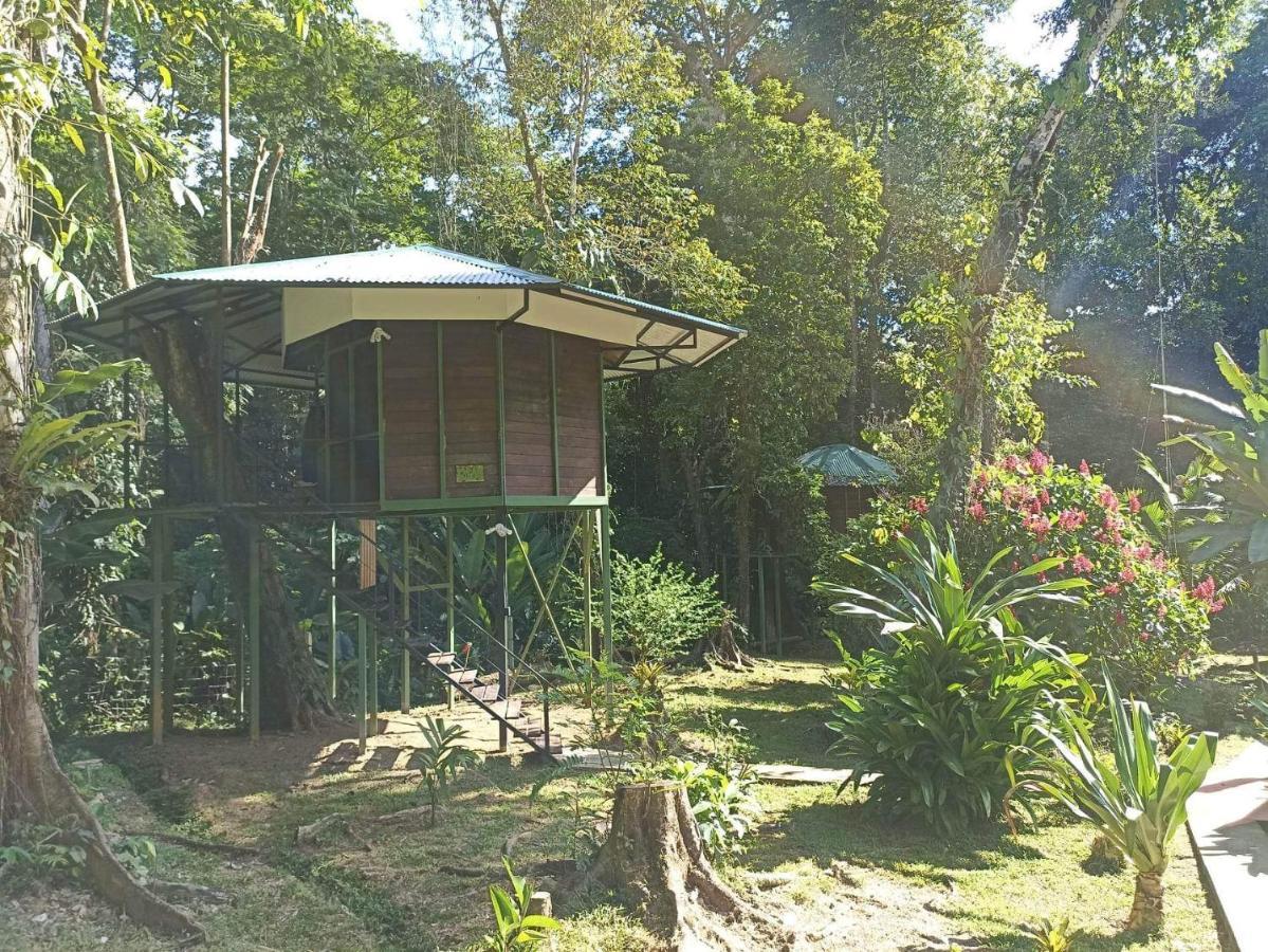 Valeria Treehouses Glamping Guest house